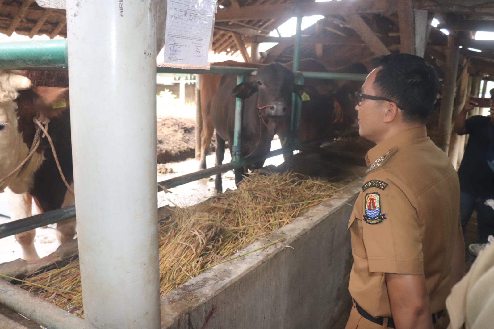 Kabupaten Cirebon Surplus Stok Hewan Kurban PROKOMPIM